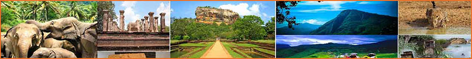 Visit Sri Lanka